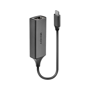 Lindy 43299 carte et adaptateur d'interfaces Convertisseur USB 3.1 Type C vers Ethernet Gigabit  (43299)