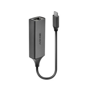 Lindy 43299 carte et adaptateur d'interfaces Convertisseur USB 3.1 Type C vers Ethernet Gigabit  (43299)
