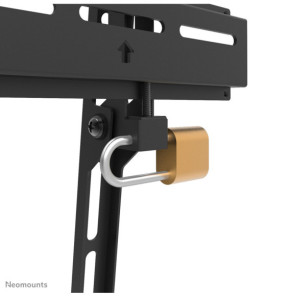 Neomounts support mural Neomounts WL30-350BL14 support mural fixe pour écrans 32-65" - Noir  (WL30-350BL14)