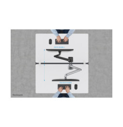 Neomounts support moniteur de bureau (DS70-810BL1)