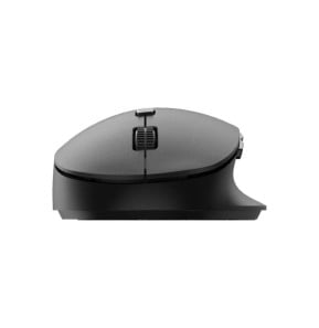 Philips SPK7507B/00 souris Droitier RF sans fil Optique 3200 DPI (SPK7507B/00)