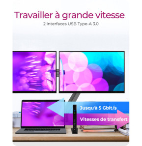 ICY BOX IB-DK2251AC Avec fil USB 3.2 Gen 2 (3.1 Gen 2) Type-A Noir (60638)