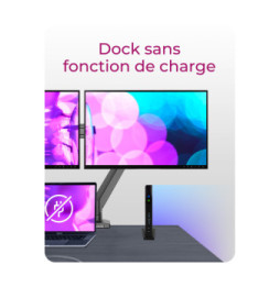 ICY BOX IB-DK2251AC Avec fil USB 3.2 Gen 2 (3.1 Gen 2) Type-A Noir (60638)