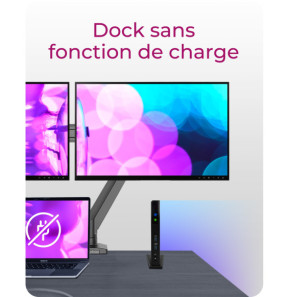 ICY BOX IB-DK2251AC Avec fil USB 3.2 Gen 2 (3.1 Gen 2) Type-A Noir (60638)