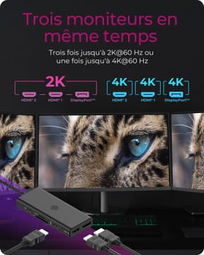 ICY BOX IB-DK4011-CPD Avec fil USB 3.2 Gen 1 (3.1 Gen 1) Type-C Noir (60999) — image 4