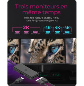 ICY BOX IB-DK4011-CPD Avec fil USB 3.2 Gen 1 (3.1 Gen 1) Type-C Noir (60999)