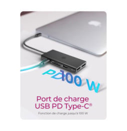 ICY BOX IB-DK4011-CPD Avec fil USB 3.2 Gen 1 (3.1 Gen 1) Type-C Noir (60999)