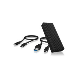 ICY BOX IB-1916M-C32 Enceinte ssd Noir M.2 (60729)