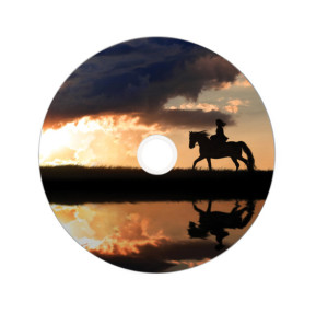 Verbatim 43667 DVD vierge 8,5 Go DVD+R DL 25 pièce(s) DVD+R Double Layer Inkjet Printable 8x, 25pcs  (43667)