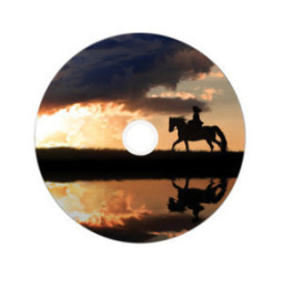 Verbatim 43703 DVD vierge 8,5 Go DVD-R 50 pièce(s) DVD-R DL 8x, 8.5GB, 50pk Spindle  (43703)