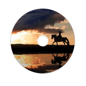 Verbatim 43703 DVD vierge 8,5 Go DVD-R 50 pièce(s) DVD-R DL 8x, 8.5GB, 50pk Spindle  (43703) — image 3