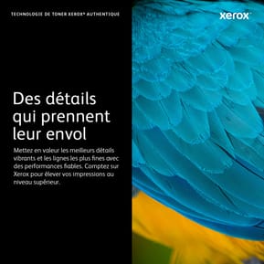 Xerox Cartouche de toner Noir VersaLink C400 Color Printer / C405 Color Multifunction Printer - 106R03528 (106R03528) — image 3