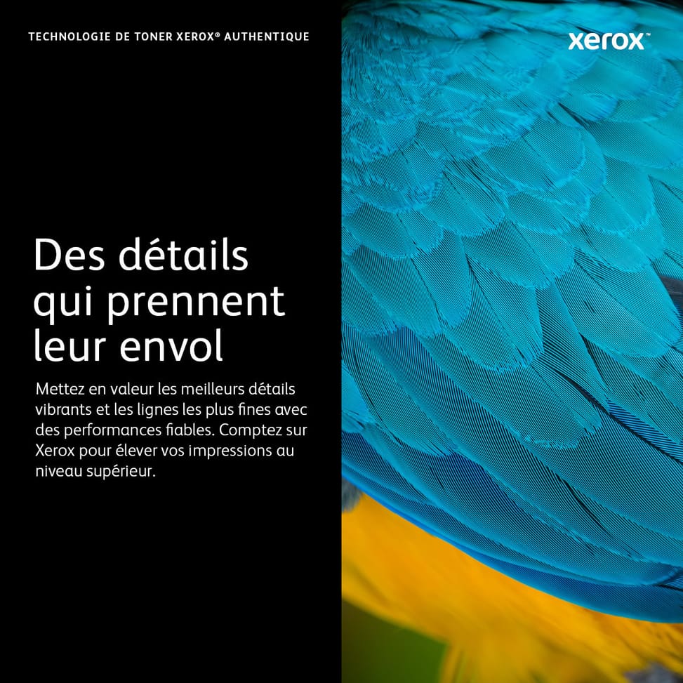 Xerox Cartouche de toner Jaune Phaser 6600 / WorkCentre 6605 - 106R02231 (106R02231) — image 3