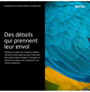 Xerox Cartouche de toner Jaune Phaser 6600 / WorkCentre 6605 - 106R02231 (106R02231)
