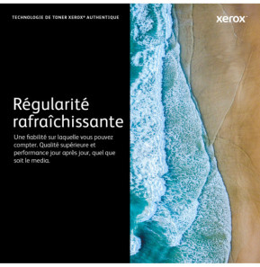 Xerox Cartouche de toner Jaune Phaser 6600 / WorkCentre 6605 - 106R02231 (106R02231)