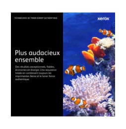Xerox Cartouche de toner Jaune Phaser 6600 / WorkCentre 6605 - 106R02231 (106R02231)