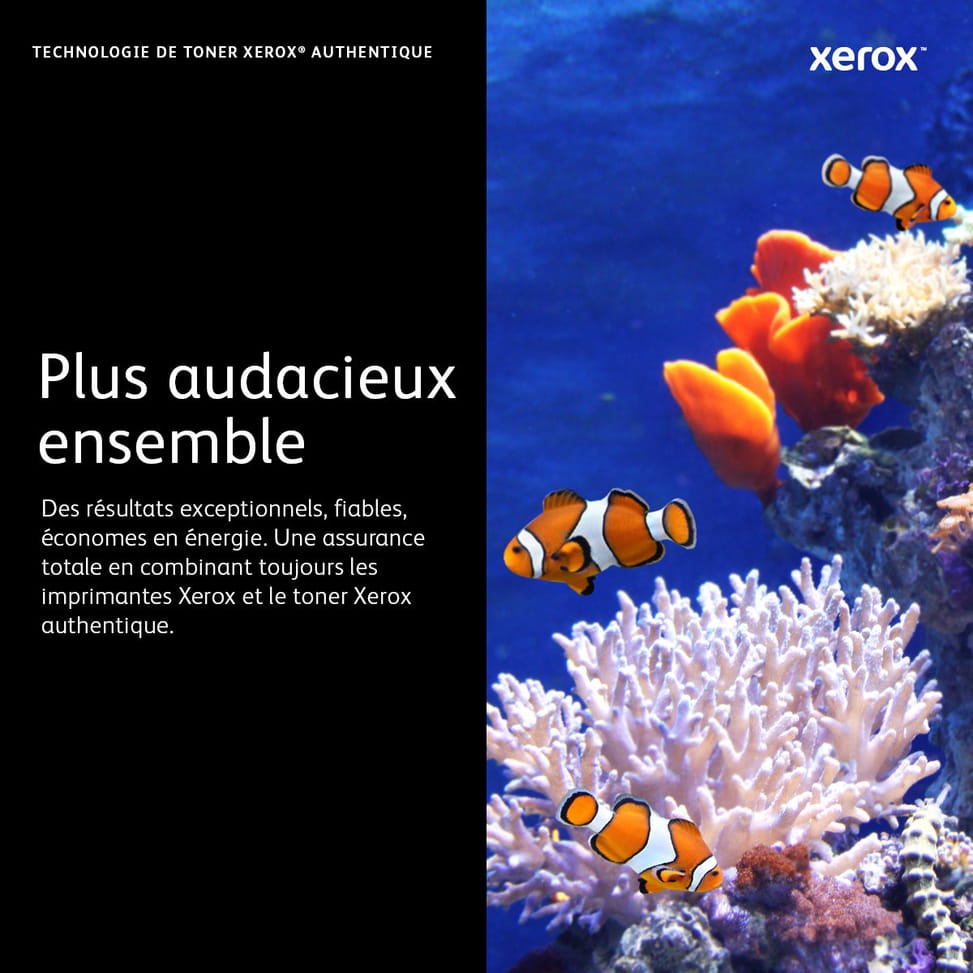 Xerox Cartouche de toner Jaune Phaser 6600 / WorkCentre 6605 - 106R02231 (106R02231) — image 11