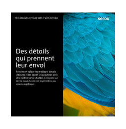 Xerox Cartouche de toner Noir B225 / B230 / B235 - 006R04400 (006R04400)