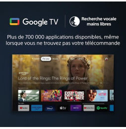 Téléviseur Sony 65" KD-65X85L (KD-65X85L E33)