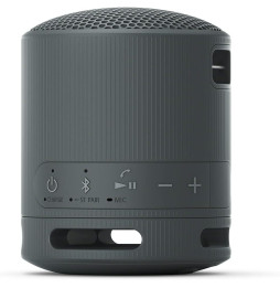 Enceinte portable Sony SRS-XB100