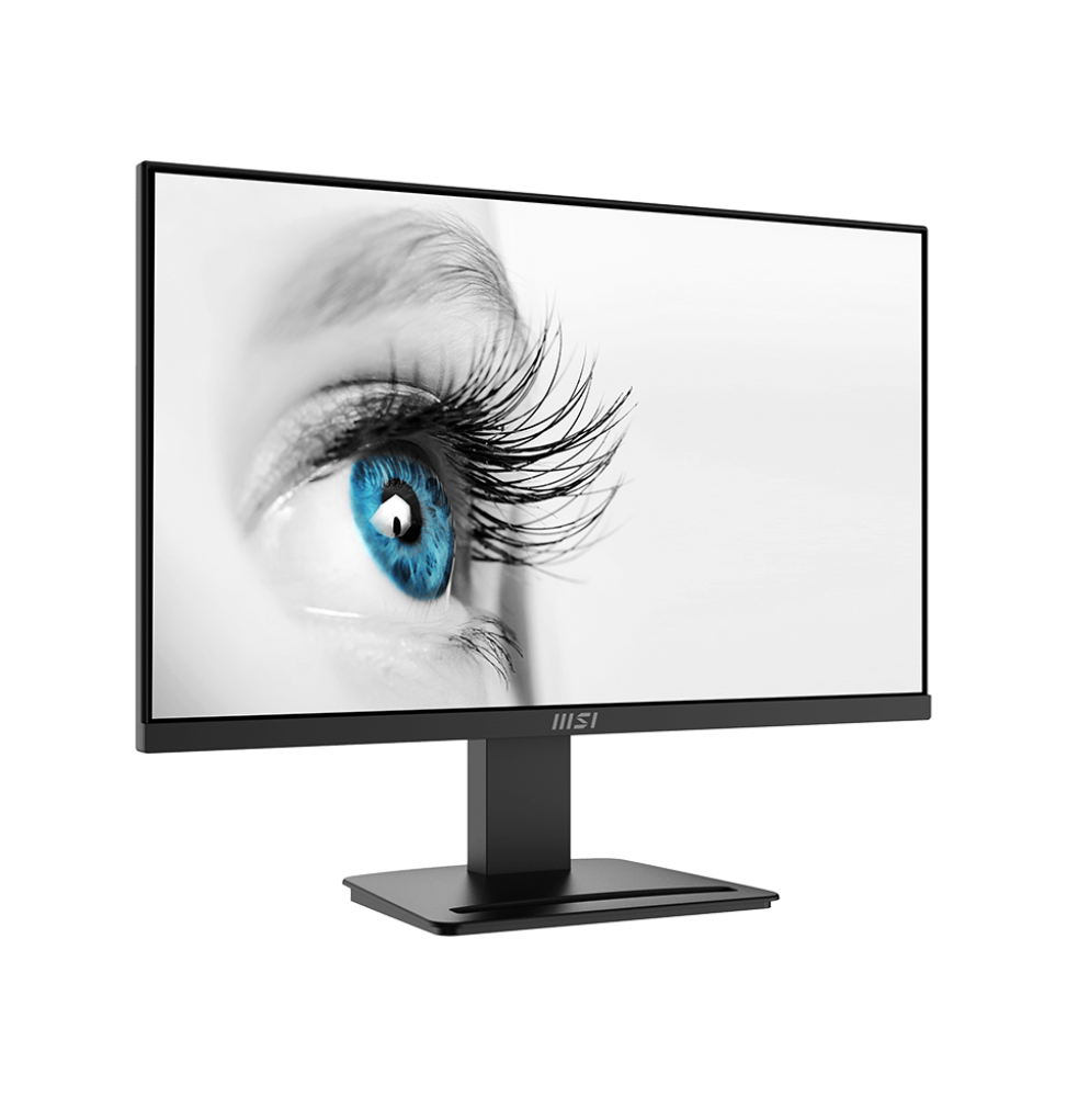 Ecran PC Full HD (1920 x 1080)