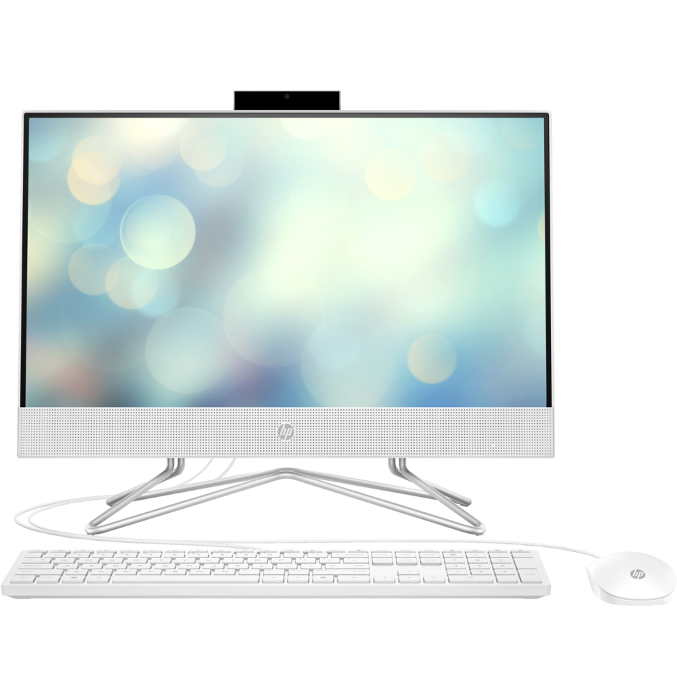 Ordinateur tout-en-un HP 22-dd2008nk (7D0P6EA)