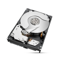 Seagate IronWolf Pro ST8000NT001 disque dur 3.5" 8 To 8 TB, SATA 6Gb/s, 26.11 x 101.85 x 146.99 mm, 720 g  (ST8000NT001)