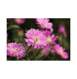 Canon RF-S 55-210mm F5-7.1 IS STM MILC Téléobjectif zoom Noir (5824C005)