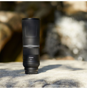 Canon Objectif RF 800mm F11 IS STM Objectif  RF 800mm F11 IS STM  (3987C005)