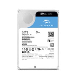 Seagate SkyHawk AI 3.5" 24 To Série ATA III (ST24000VE002)