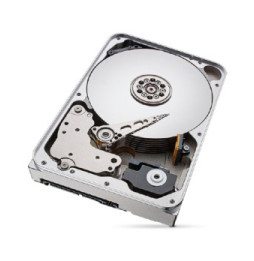 Seagate IronWolf Pro ST12000NT001 disque dur 3.5" 12 To Série ATA III (ST12000NT001)