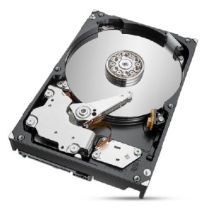 Seagate IronWolf Pro ST2000NT001 disque dur 3.5" 2 To 2 TB, SATA 6Gb/s, 26.11 x 101.85 x 146.99 mm, 620 g  (ST2000NT001)