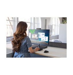 HP Souris sans fil Premium Souris sans fil Premium HP  (1JR31AA)