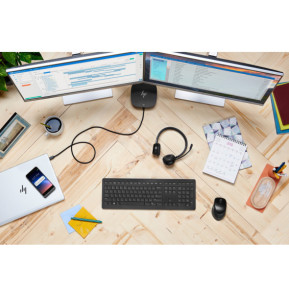 HP Souris sans fil Premium Souris sans fil Premium HP  (1JR31AA)