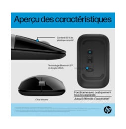 HP Souris double mode Z3700 argent Souris double mode HP Z3700 argent  (758A9AA)