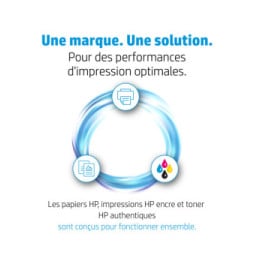 HP Kit de transfert d'images Color LaserJet Q7504A Kit de transfert d'images HP Color LaserJet Q7504A  (Q7504A)