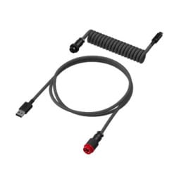 HyperX 6J679AA câble de clavier/souris Noir, Gris 1,37 m USB Type-A, USB Type-C (6J679AA)
