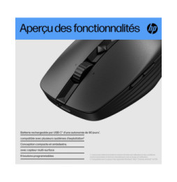 HP Souris silencieuse rechargeable 710 Souris silencieuse rechargeable HP 710  (6E6F2AA)
