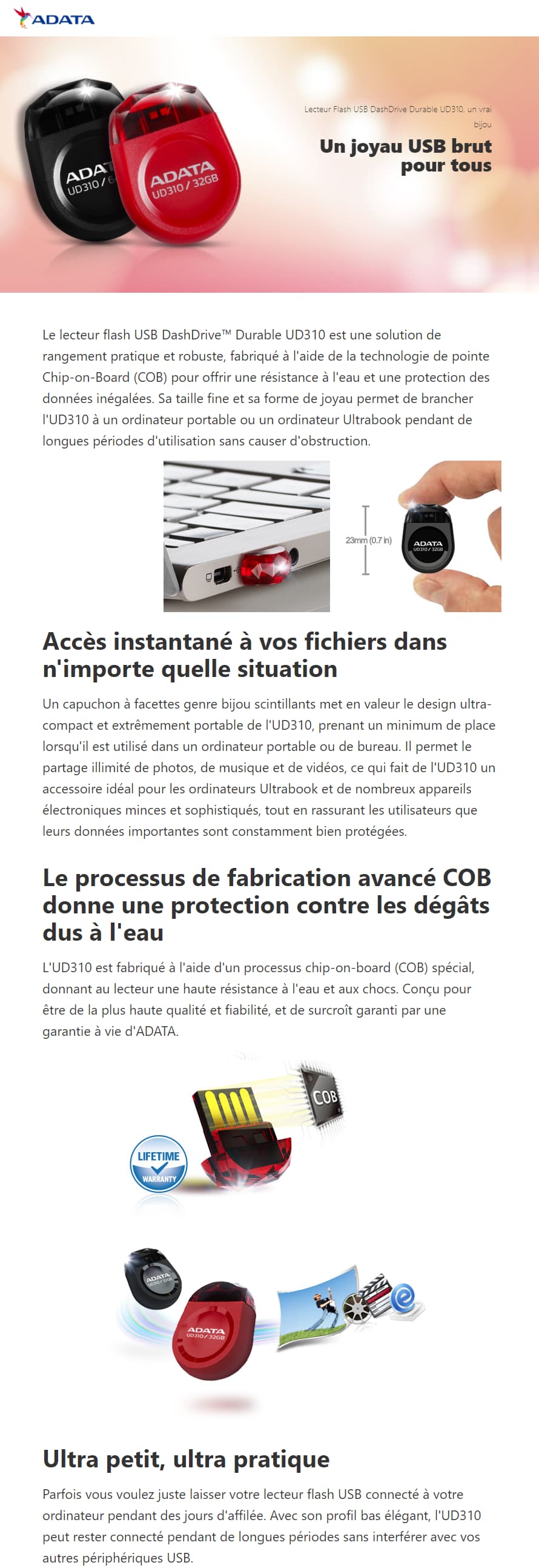 Lecteur Flash USB ADATA UD310K (AUD310-32G-RBK)