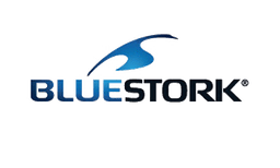 Logo Bluestork