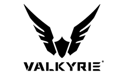 Logo Valkyrie