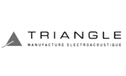 Logo TRIANGLE