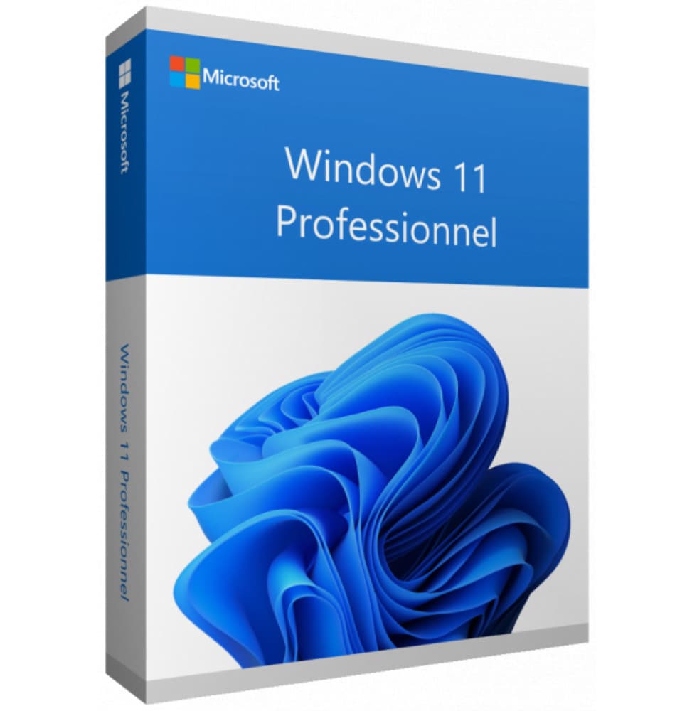 Windows 11 Professionnel