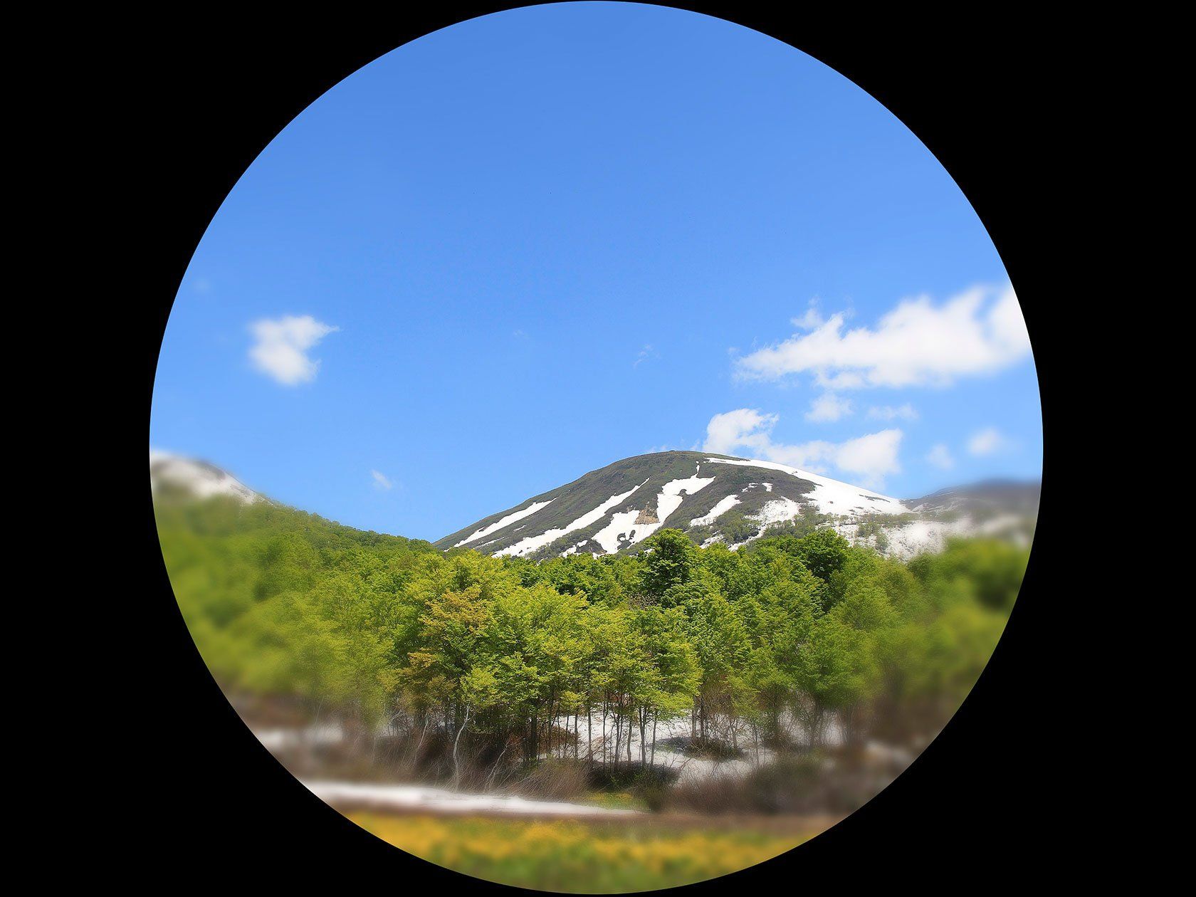 9526B005_Canon-12x36-Binoculars_06