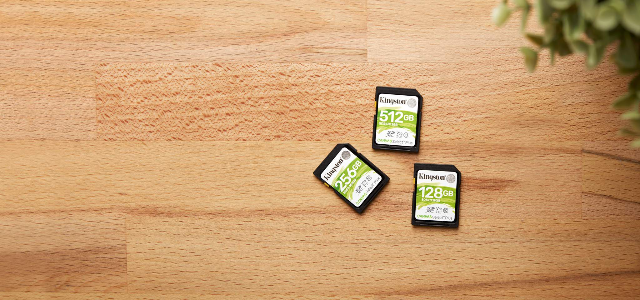 Trois cartes SD Canvas Select Plus, de capacit&eacute; diff&eacute;rente, pos&eacute;es sur un bureau en bois