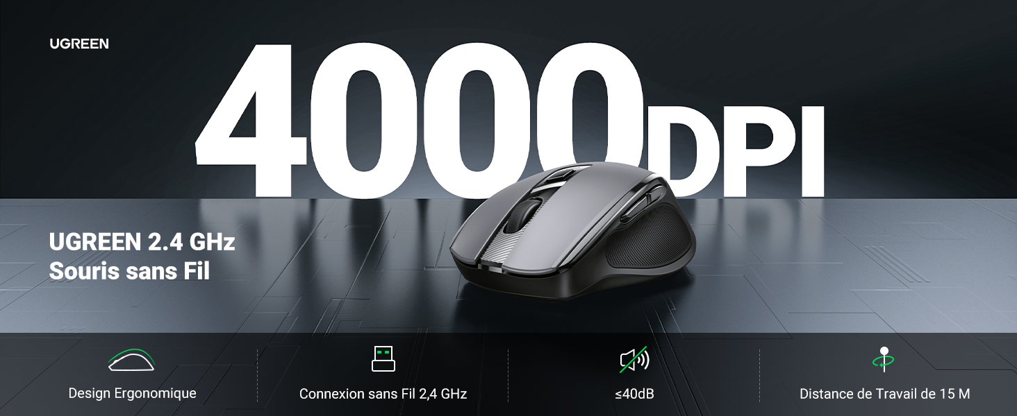 Souris sans Fil