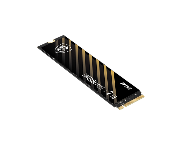 SPATIUM M461 PCIe 4.0 NVMe M.2