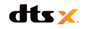 Logo dts:X