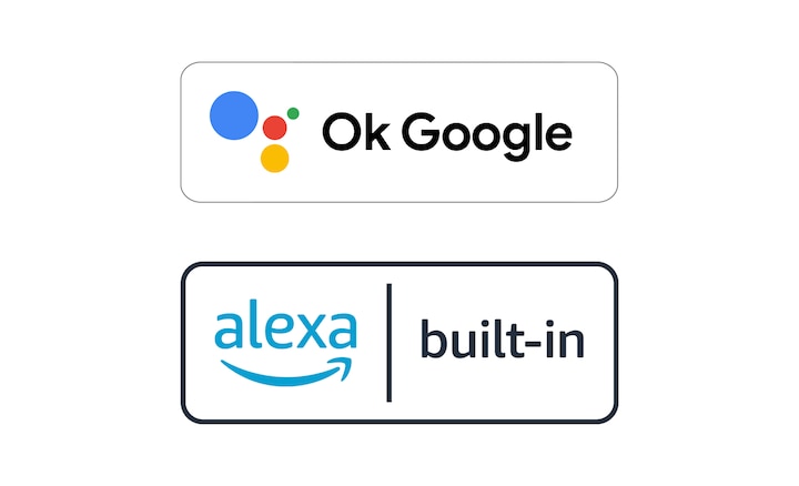 Logos OK Google et Alexa int&eacute;gr&eacute;s