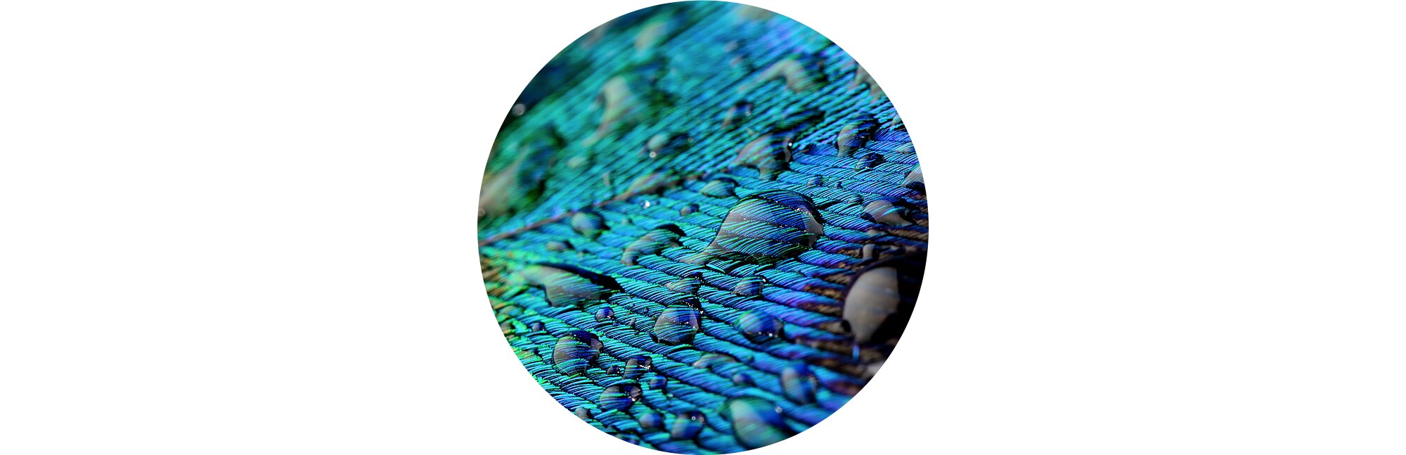 8K Ultra&nbsp;HD